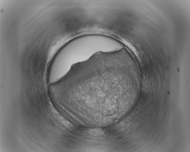 X0000087021464200704301302