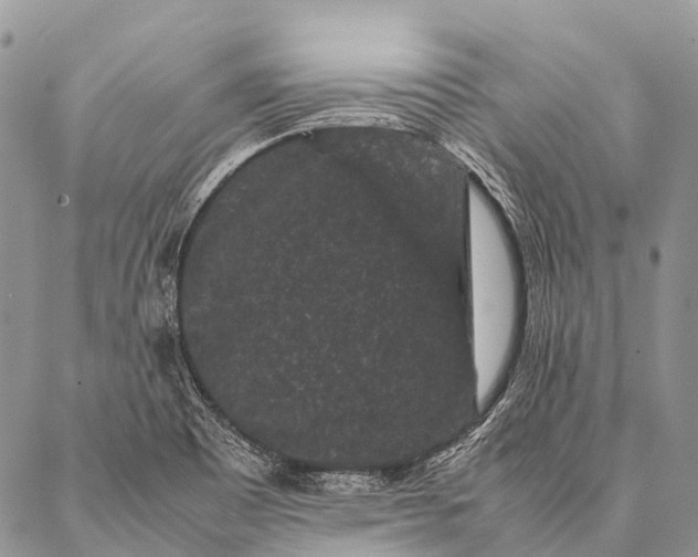 X0000087021465200704301302