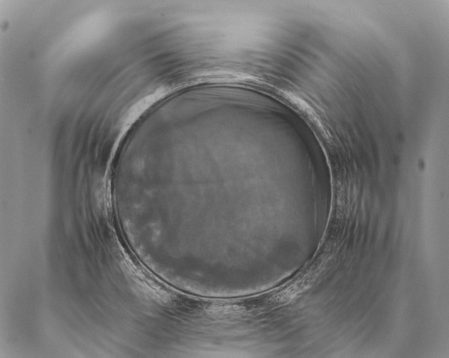 X0000087021466200704301302