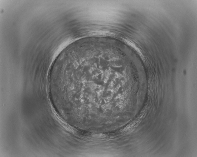 X0000087021467200704301302