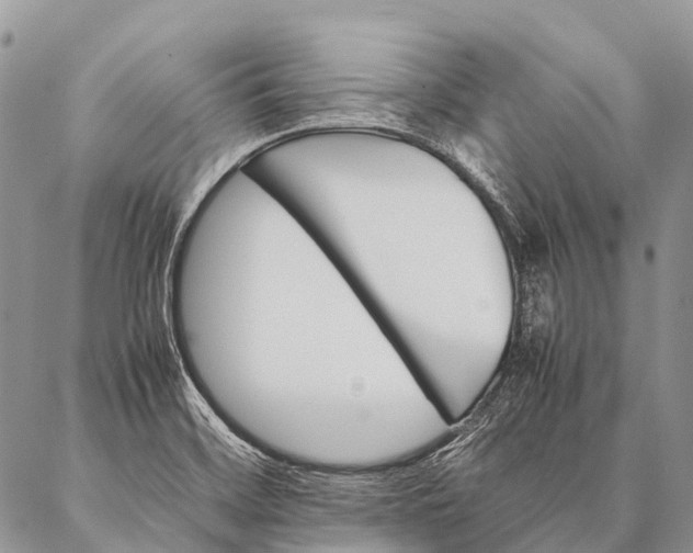 X0000087021468200704301302