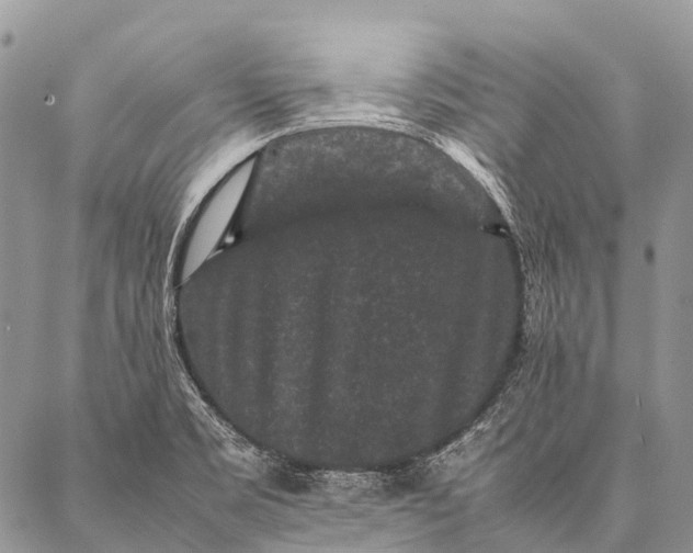 X0000087021469200704301302