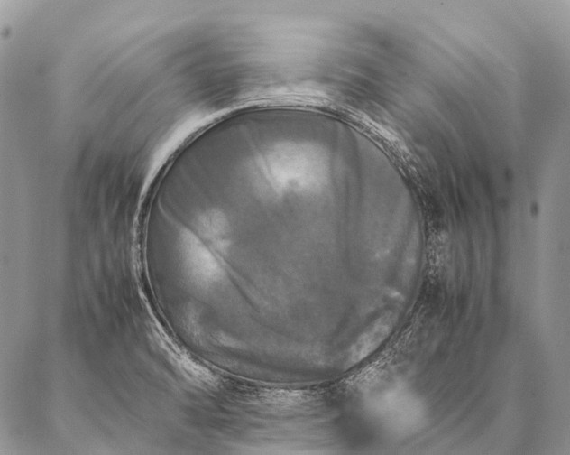 X0000087021470200704301302