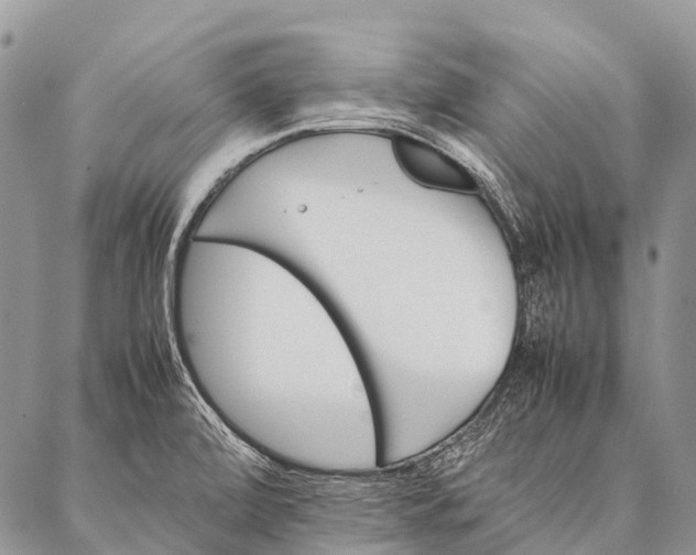 X0000087021472200704301302