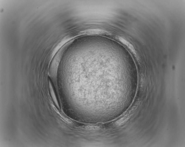 X0000087021473200704301302