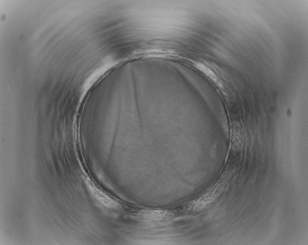 X0000087021474200704301302