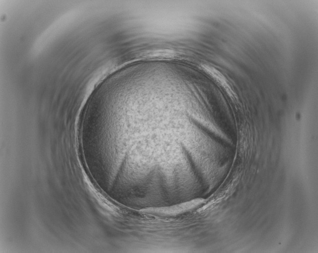 X0000087021475200704301302