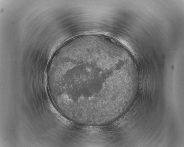 X0000087021476200704301302