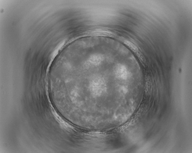 X0000087021478200704301302