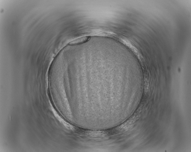 X0000087021479200704301302