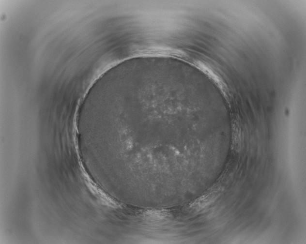 X0000087021480200704301302