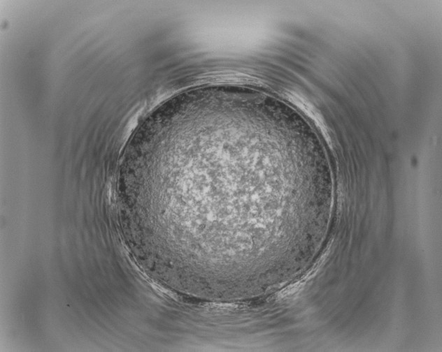 X0000087021481200704301302