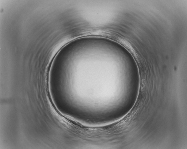 X0000087021483200704301302