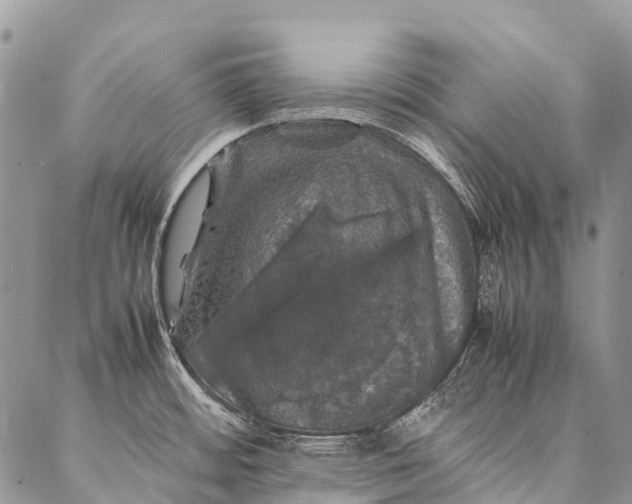 X0000087021484200704301302