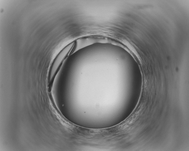 X0000087021485200704301302