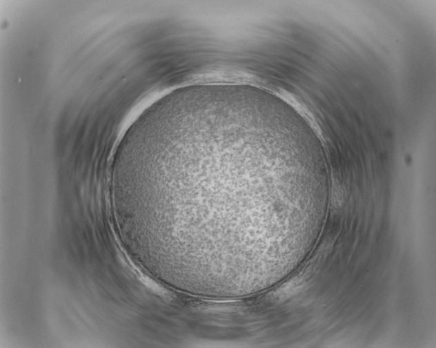 X0000087021486200704301302