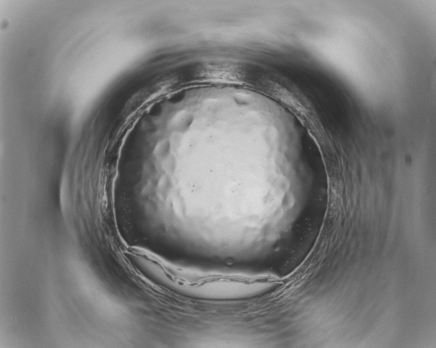 X0000087021487200704301302