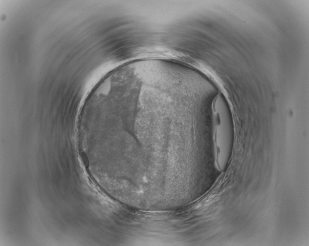 X0000087021488200704301302