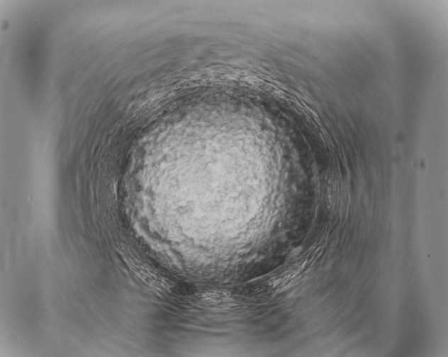 X0000087021489200704301301