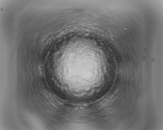 X0000087021490200704301301