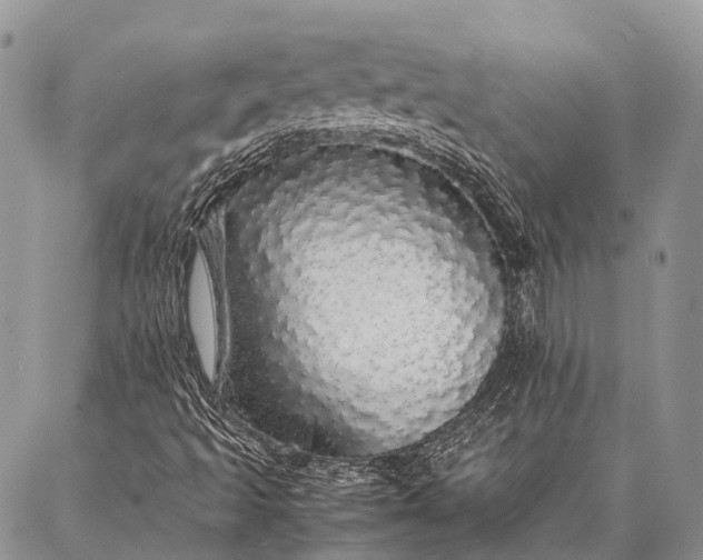 X0000087021493200704301301