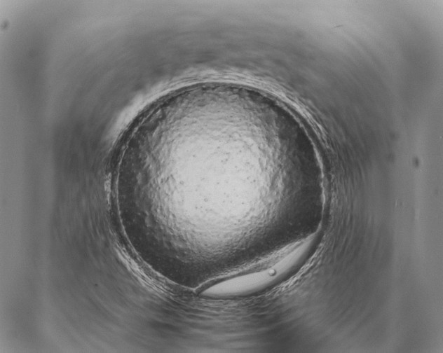 X0000087021503200704301301