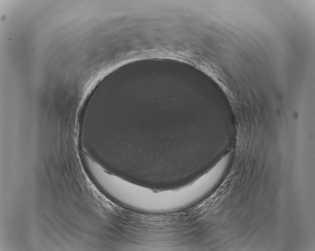 X0000087021508200704301301