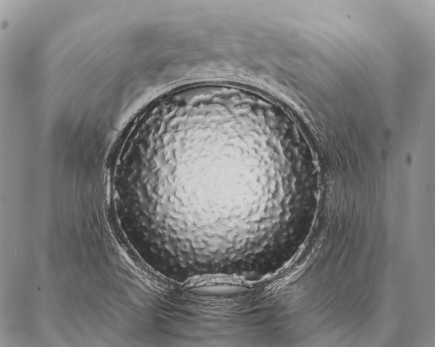 X0000087021509200704301301