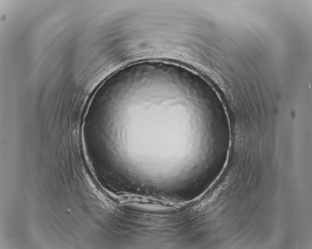 X0000087021513200704301301