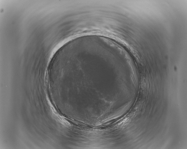 X0000087021522200704301301