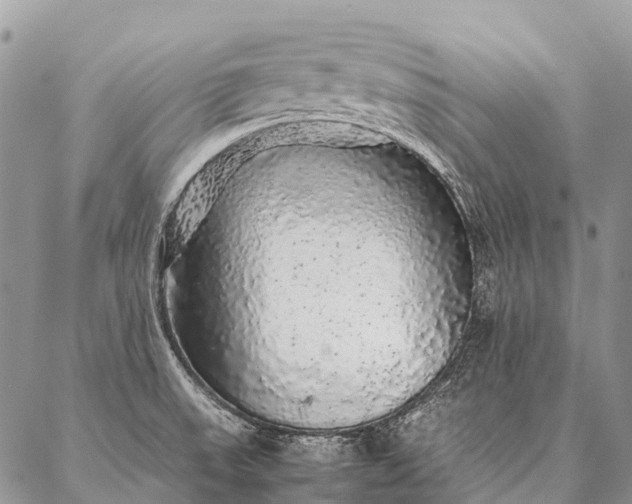 X0000087021523200704301301