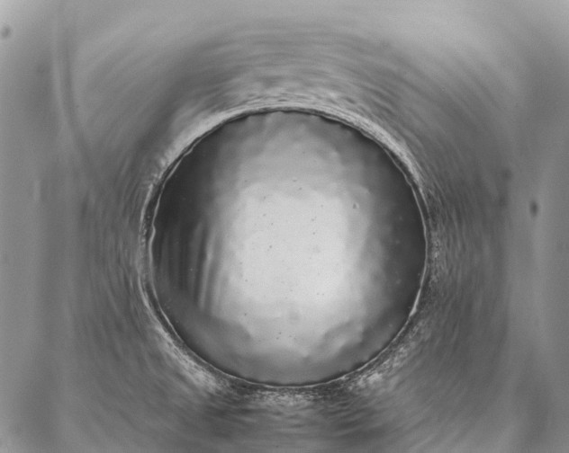 X0000087021525200704301301