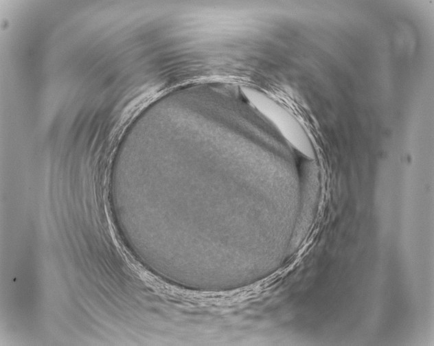 X0000087020001200705071521