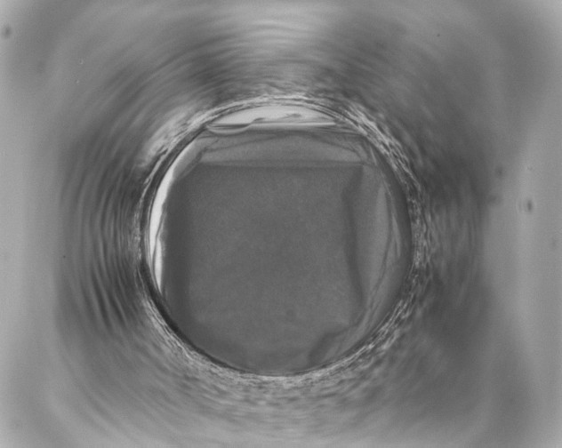 X0000087020002200705071521