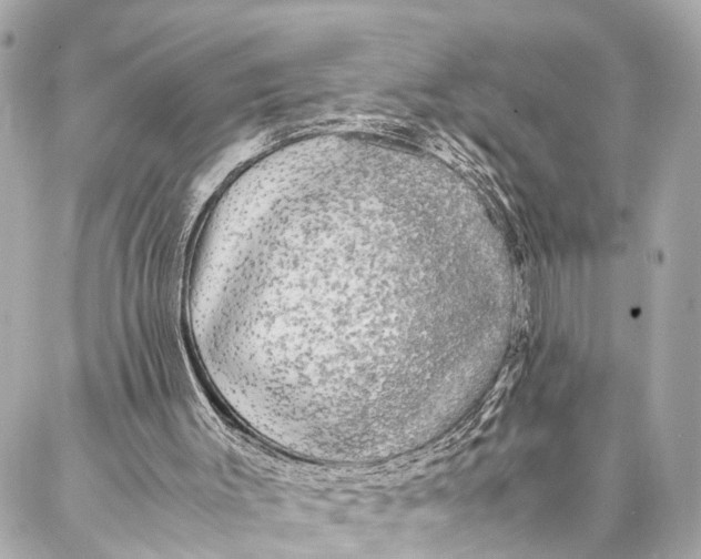 X0000087020003200705071521