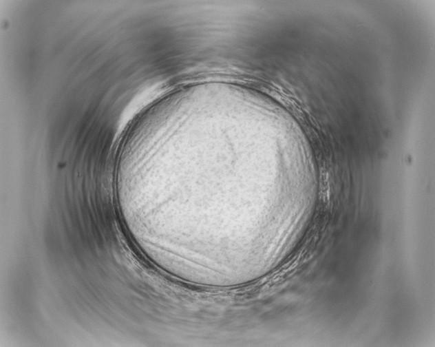 X0000087020004200705071521