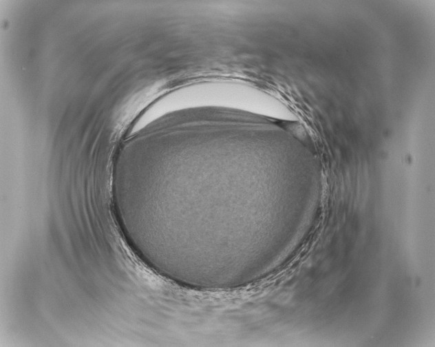 X0000087020005200705071521