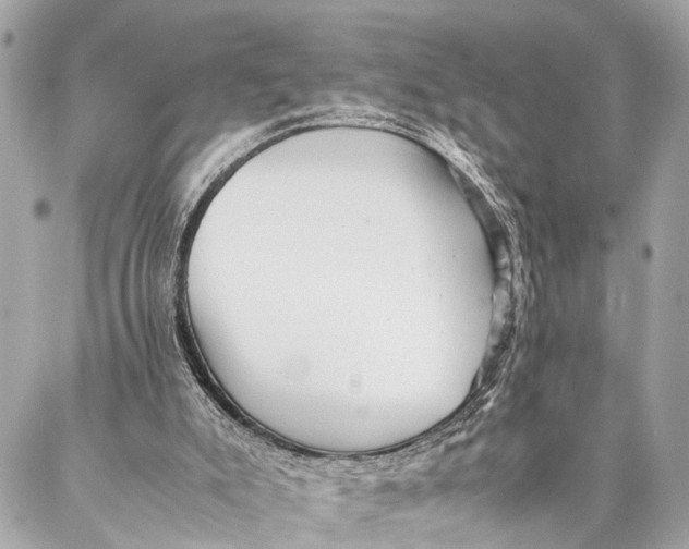 X0000087020007200705071521