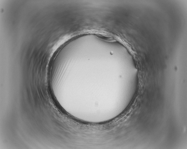 X0000087020008200705071521