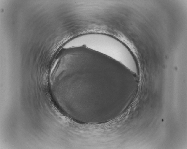 X0000087020009200705071521