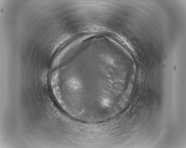 X0000087020010200705071521