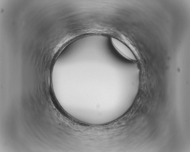 X0000087020011200705071521