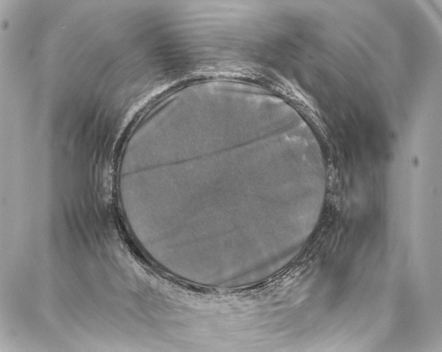 X0000087020012200705071521