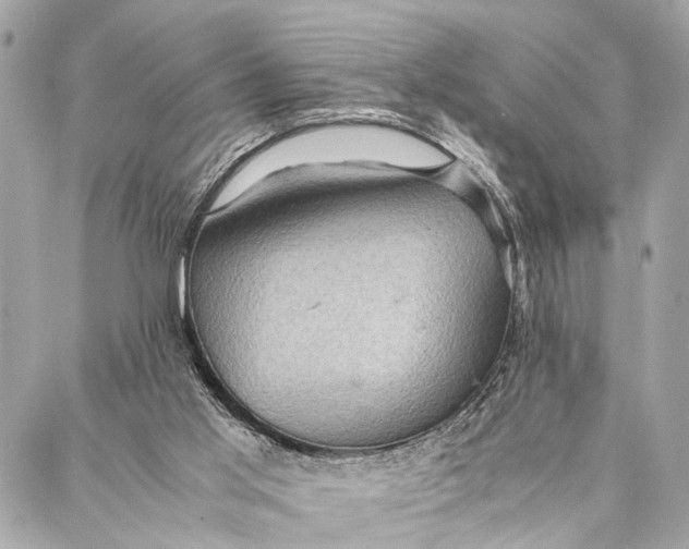 X0000087020013200705071521