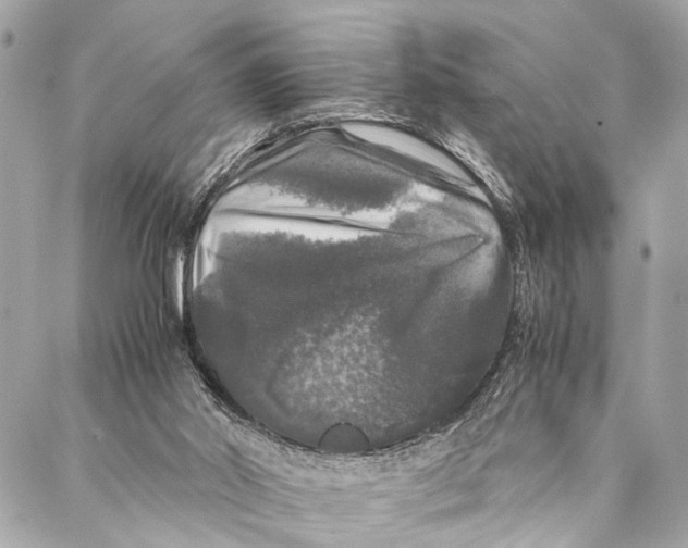 X0000087020014200705071521