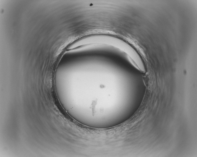 X0000087020015200705071521