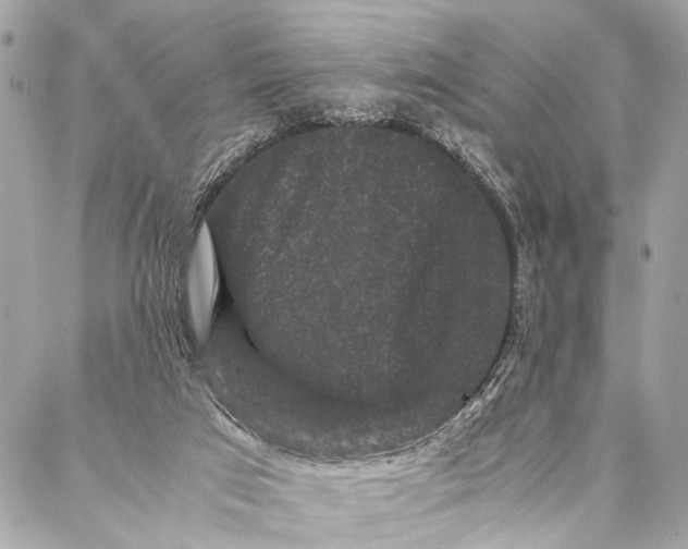 X0000087020017200705071521