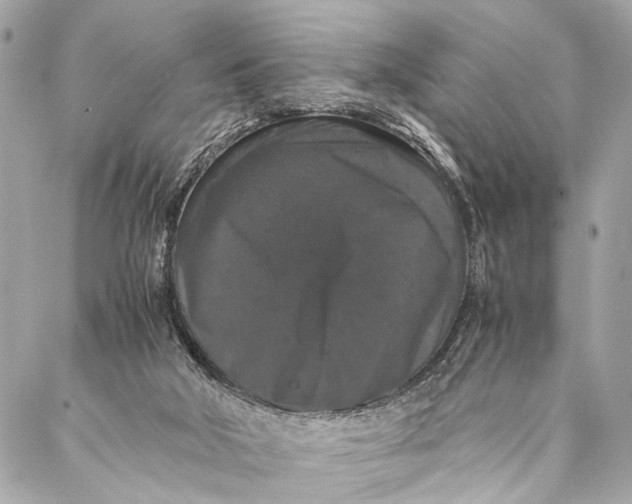 X0000087020018200705071521