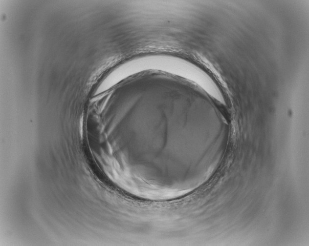 X0000087020019200705071521