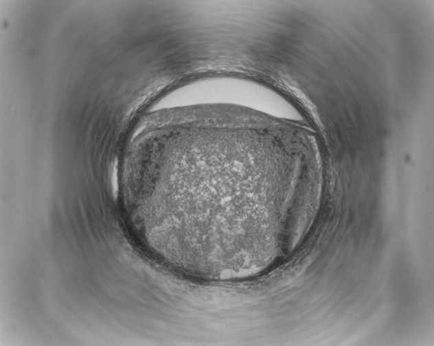 X0000087020020200705071521